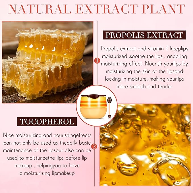 12 Pcs Bee Lip Balm Honey