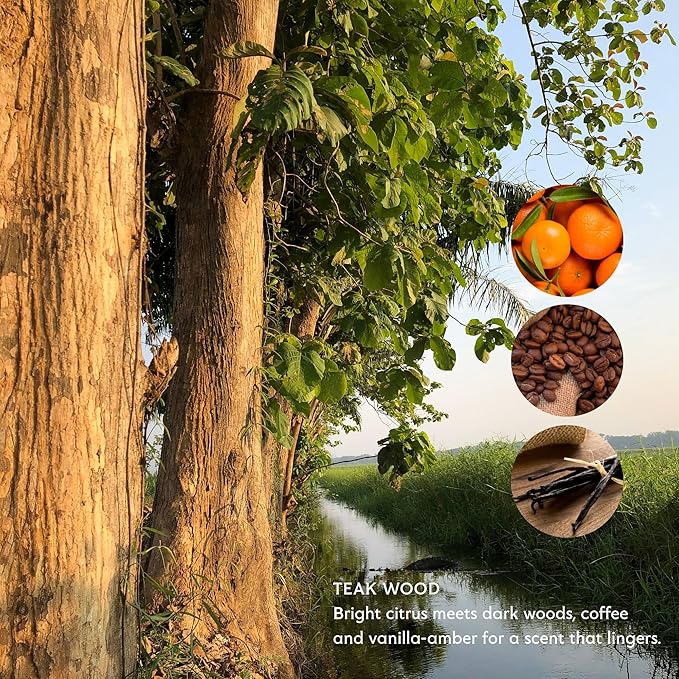 Mistral Bar Soap, Teak Wood, Large Bar