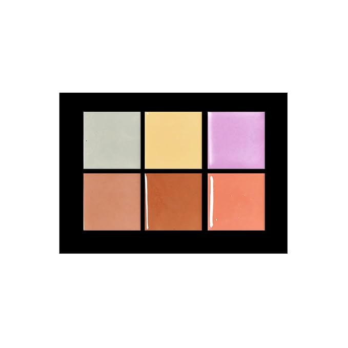 Profusion Cosmetics Studio Corrector Palette for Radiant, Even