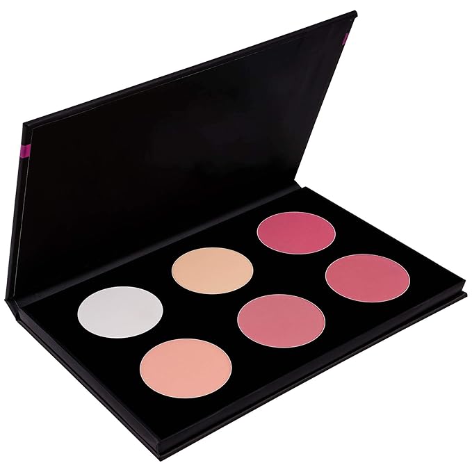 SHANY Cosmetics Shimmer & Matte Blush/Highlighter Face Palette