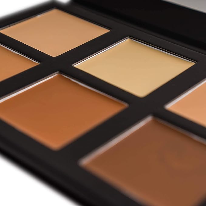 SHANY Foundation Cream Contour & Highlight Makeup Palette