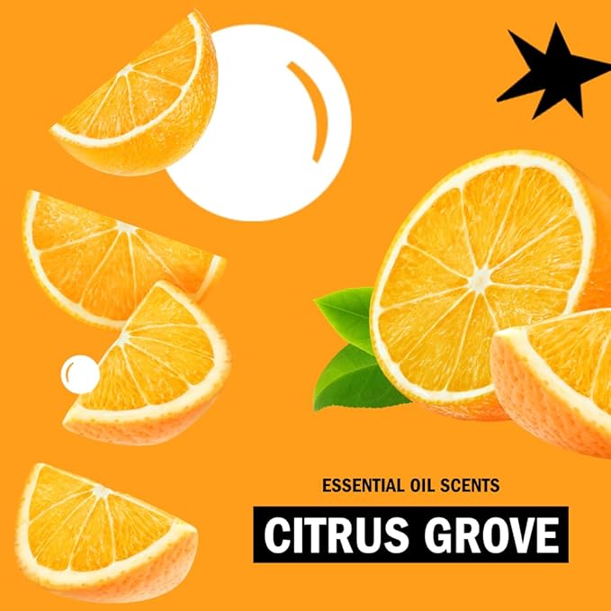 Molly's Suds Foaming Hand Soap - Made with Aloe and Coconut Oil | Moisturizing Hand Wash | Clean Ingredients, Infused with Essential Oils | Citrus Grove - 8.25 Oz (Pack of 3)