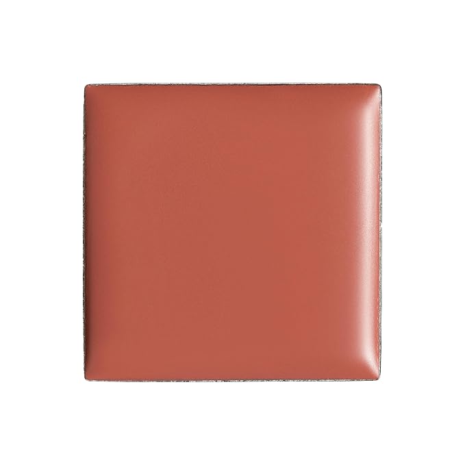 billion dollar brows Lip & Cheek Tint - Pigment