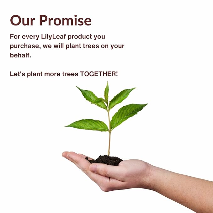 LilyLeaf Handheld Makeup Mixing Palette - Transparent Hand