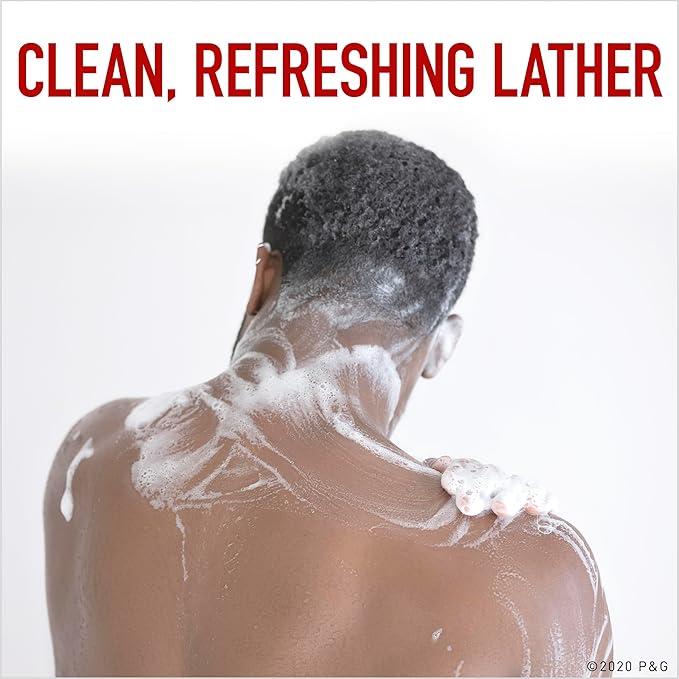 Old Spice Refreshing Body Wash for Men, High Endurance, 3X Defense, 24/7 Shower Fresh with Long Lasting Scent, Pure Sport Scent, 24 oz (Pack of 4)